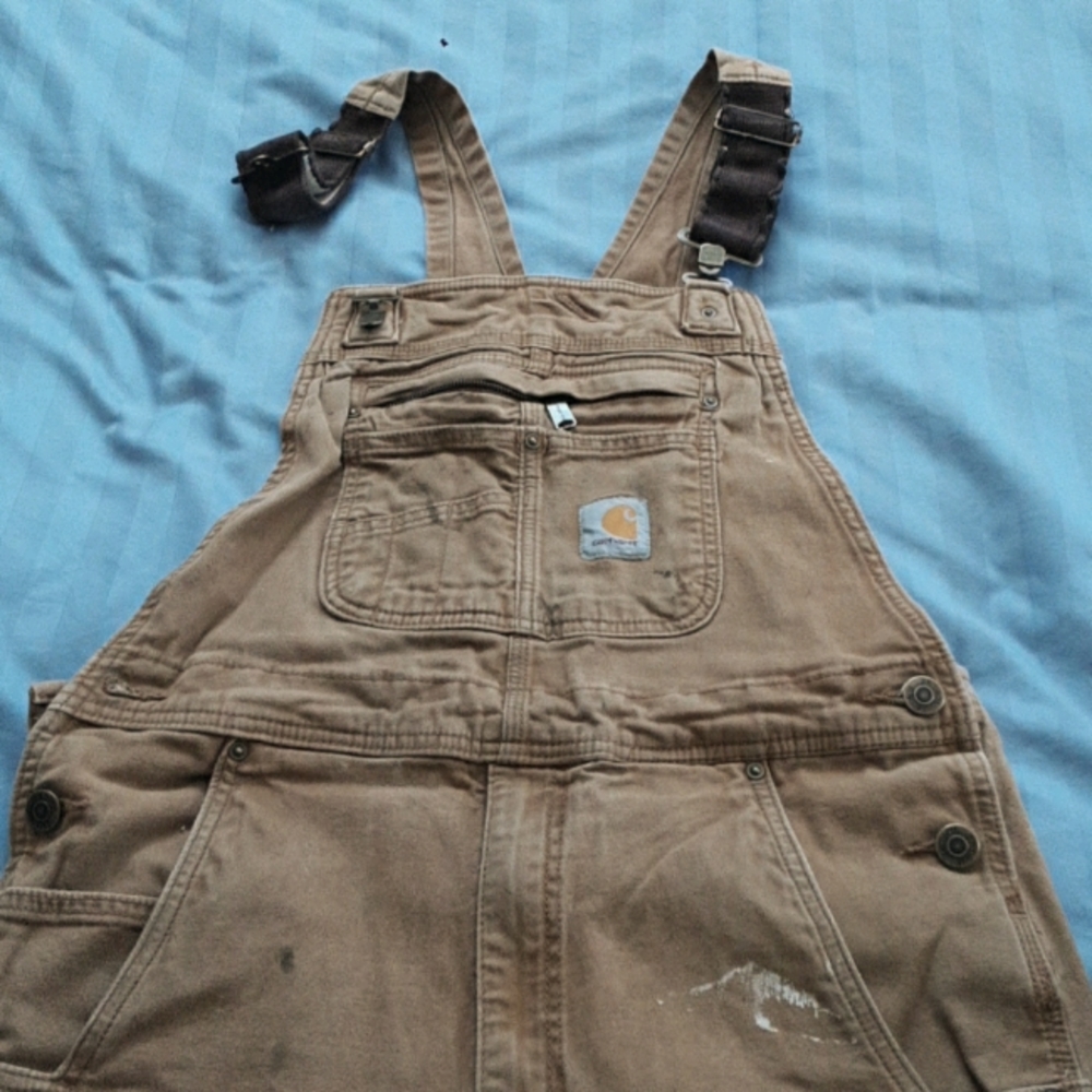 Carhartt Men's work overalls